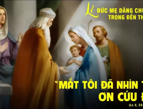 THẾ GIỚI TÂM LINH-SỐ 23